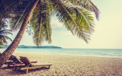 Paradise Papers