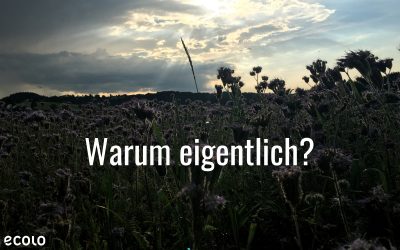 Warum eigentlich?