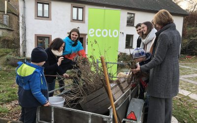 Kleine Früchte… Große Wirkung!