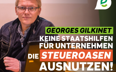 Durch die Grünen knüpft die Kammer staatliche Beihilfen an Bedingungen und bietet den vorübergehend Arbeitslosen zusätzliche Kaufkraft.