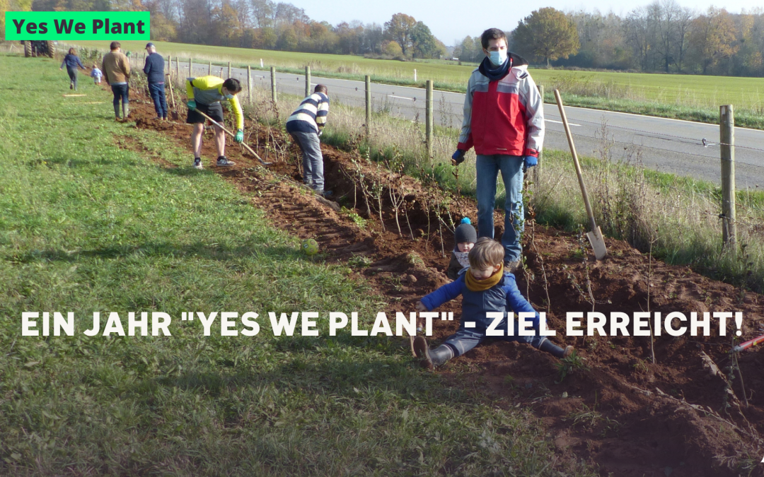 Ein Jahr „Yes we plant“ – Ziel erreicht!