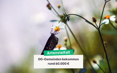 DG-Gemeinden bekommen  rund 60.000 € aus der Wallonie für Projekte zur Förderung der Artenvielfalt