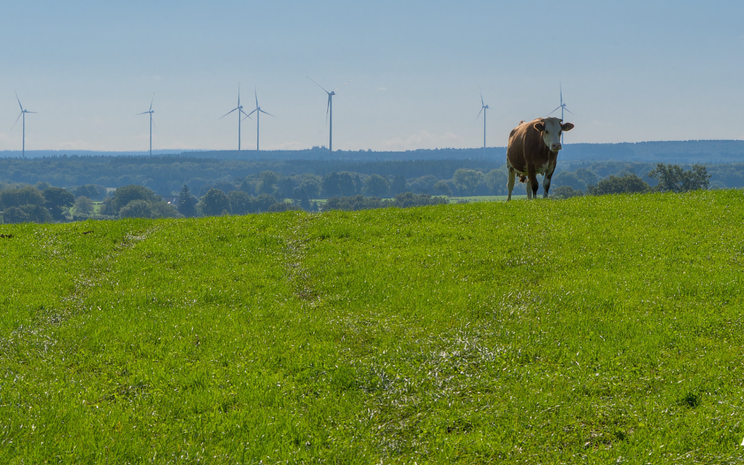 Die Gemeinde Raeren erteilt ENGIE eine Konzession für 5 Windkraftanlagen