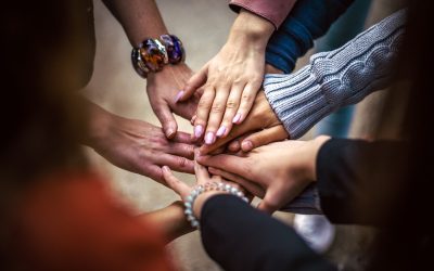 Wort den Parteien – Friede: Mehr als ein Wort