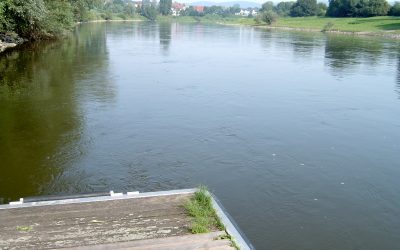 Mockel entrüstet über die anhaltende Verschmutzung der Weser