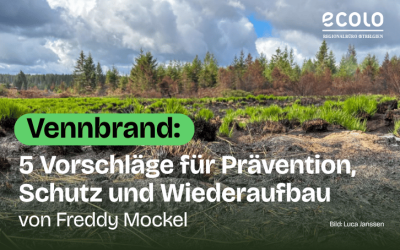 Vennbrand: 5 Vorschläge von Freddy Mockel