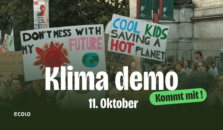 Junge Menschen demonstrieren mit Plakaten. Ein Titel im Bild liest: Klimademo: 11. Oktober. Kommt mit!